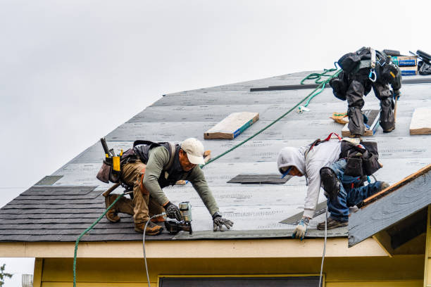 Professional Roof Inspection technician working in West Point, IL